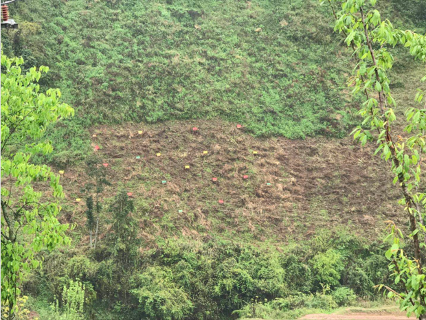 图片默认标题_fororder_22