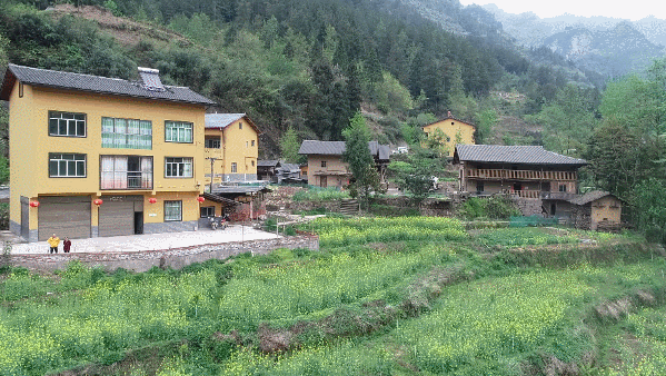 图片默认标题_fororder_24