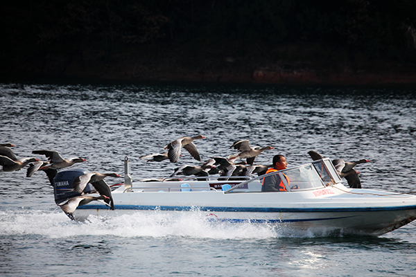 仙海水利景勝地―中国四川綿陽の裏庭_fororder_3333
