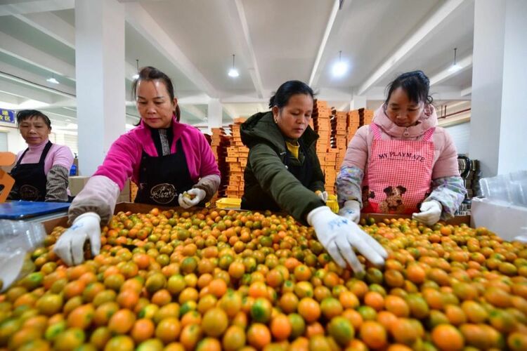 半月谈 ｜ 脱贫攻坚胜利后，扶贫政策何去何从？ 三大关键词读懂中央农村工作会议