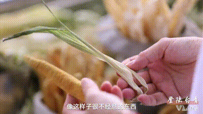 登陆台青vlog丨台青蔡婕妤：“花仙子”的“花花世界”