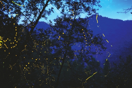 图片默认标题_fororder_2