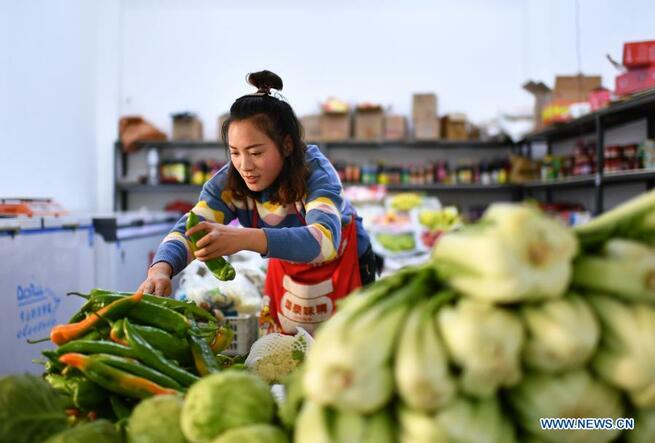 高地で現代的な野菜栽培　チベット自治区_fororder_1-3