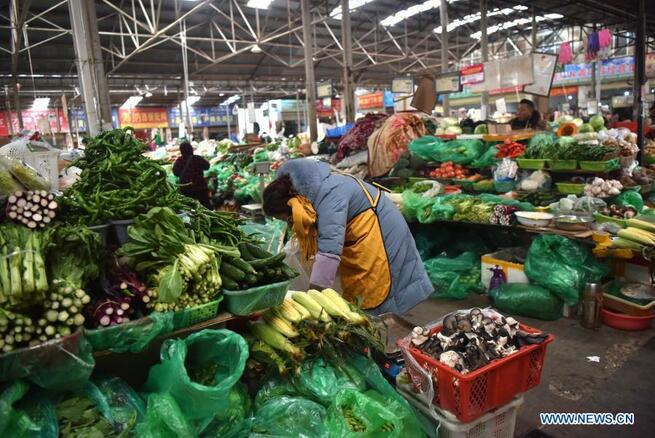 高地で現代的な野菜栽培　チベット自治区_fororder_1-1