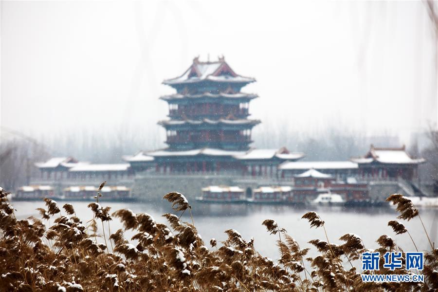 瑞雪兆丰年