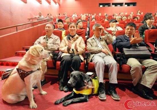 上海已有37条导盲犬 位居全国第一
