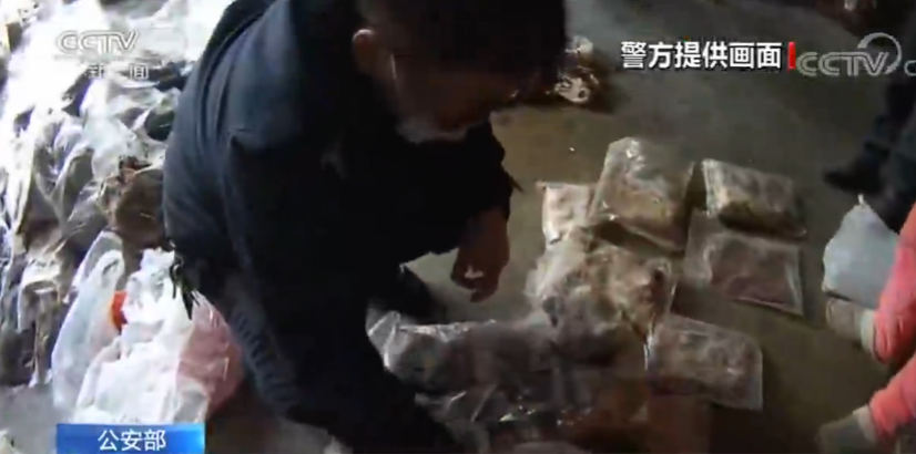 「央视网」公安部统一部署打击涉野生动物违法犯罪活动