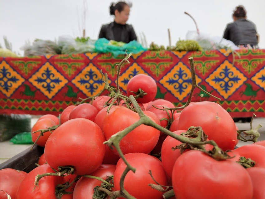 图片默认标题_fororder___172.100.100.3_temp_9500020_1_9500020_1_1_75ceb5d4-c105-4a6f-b971-0218b5071f2c