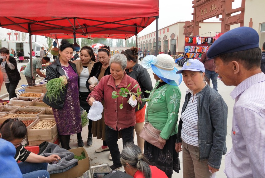 图片默认标题_fororder___172.100.100.3_temp_9500020_1_9500020_1_1_c8f01b7b-df69-4670-9285-88b40e489f27