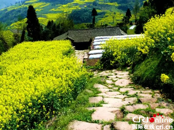 图片默认标题_fororder_飞龙关茶马古道