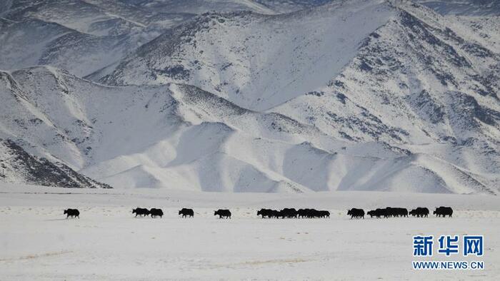 하얼텅의 이색적인 겨울 풍경 하얼텅의 이색적인 겨울 풍경_fororder_11