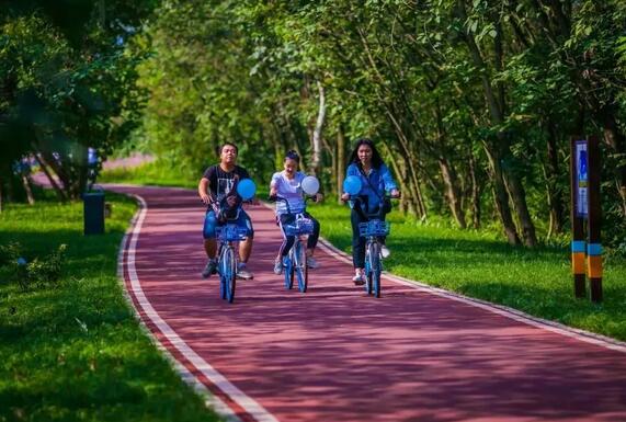 （今日热点1，序号1，导航成都，移动端）蓉平：新春成都奏响新时代城市复兴的号角