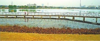 武汉新建两座公园 万家湖变身美丽大气湖泊公园