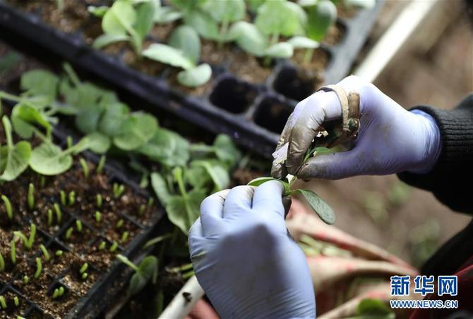 图片默认标题_fororder_1125660420_15832893724061n