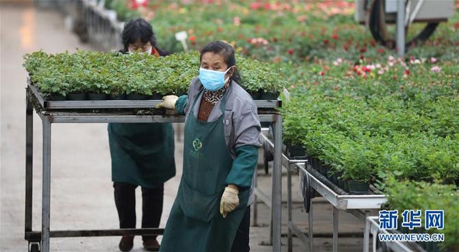 图片默认标题_fororder_1125660420_15832893723551n