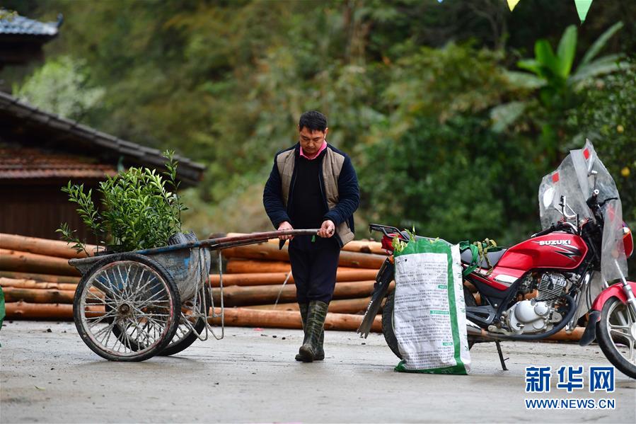 【新华网】爱心送苗助春耕