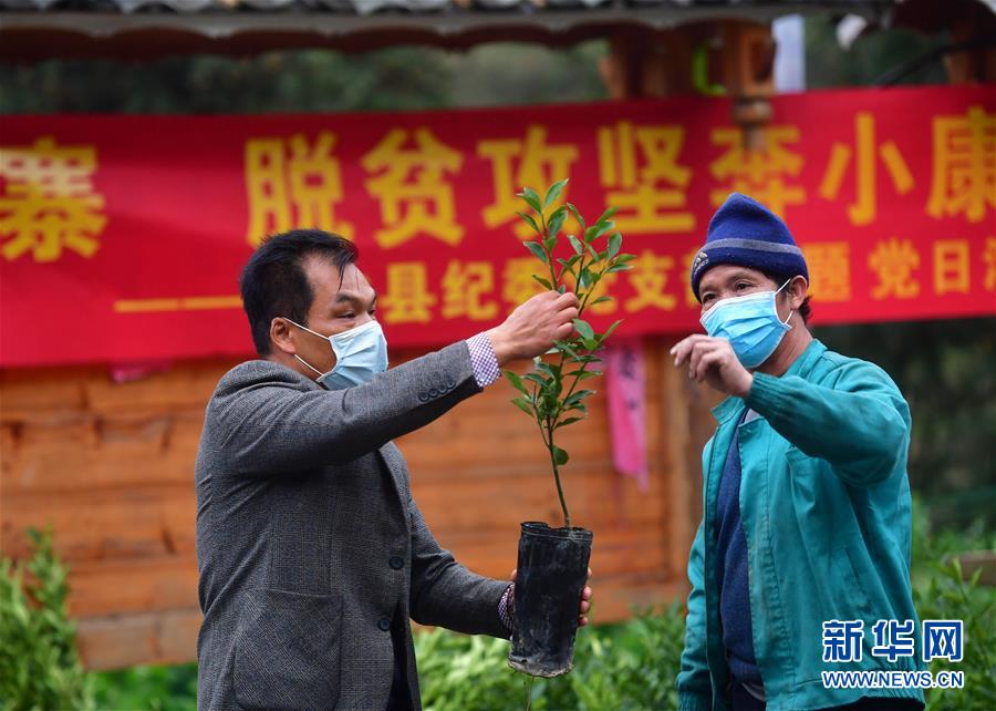 【新华网】爱心送苗助春耕