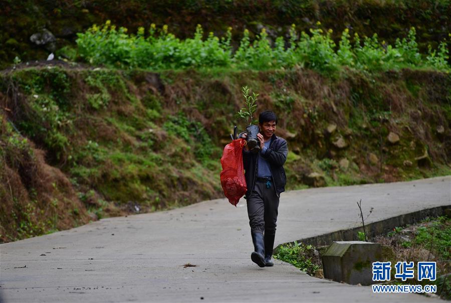 【新华网】爱心送苗助春耕