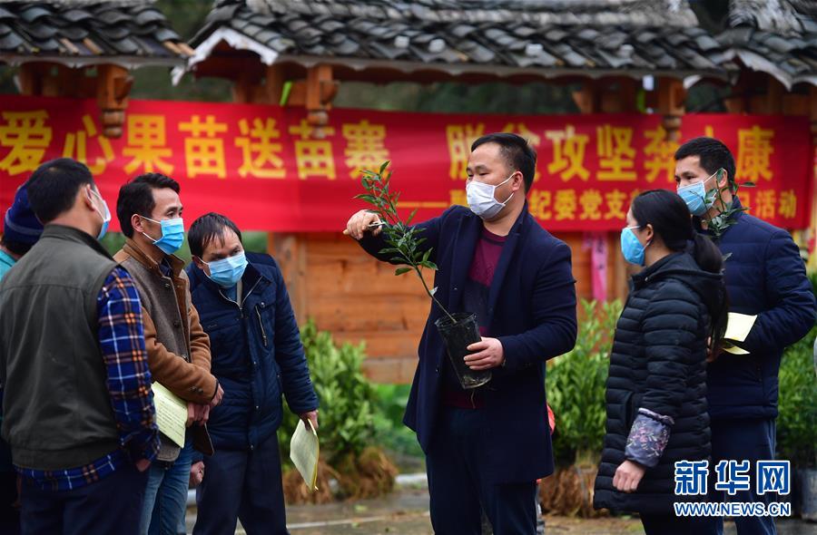 【新华网】爱心送苗助春耕