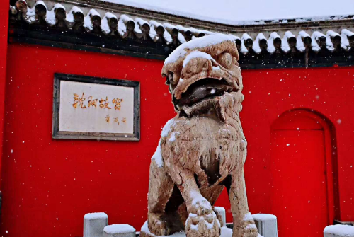 漫长的等待，你终于来了！盛京大美雪景 像极了爱情……