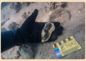 CMG　2020国内外10大考古ニュース発表_fororder_99