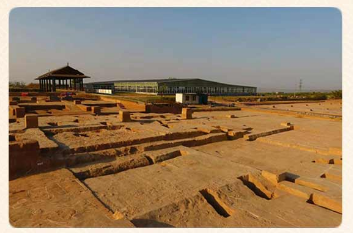 CMG　2020国内外10大考古ニュース発表_fororder_3