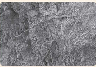 CMG　2020国内外10大考古ニュース発表_fororder_66