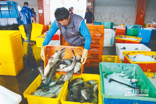 台湾基层农渔会吐真言：“新南向”绝对是失败政策！