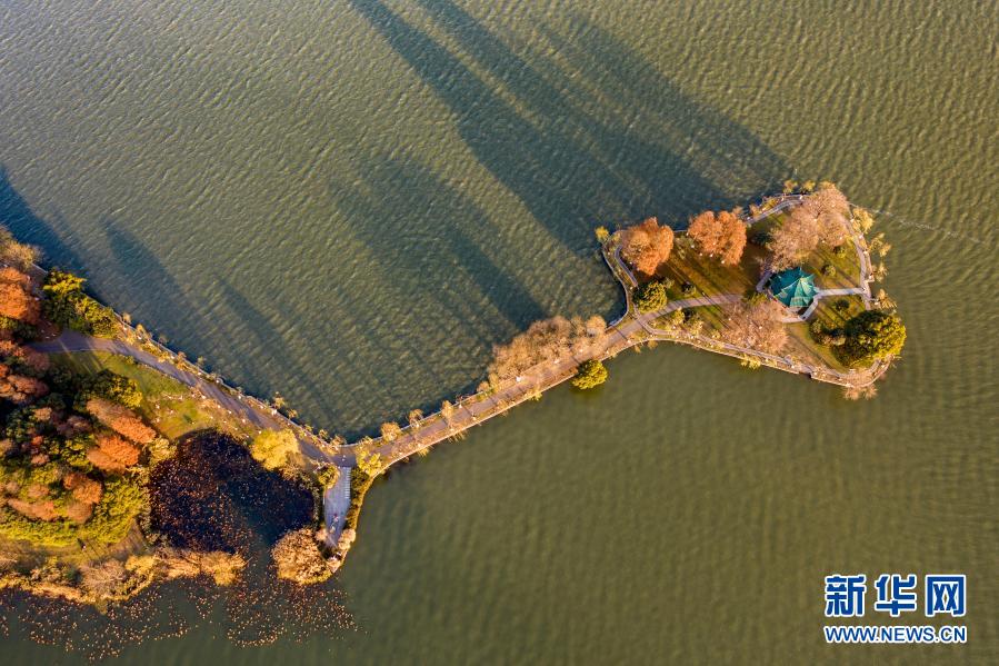 武汉东湖：冬日风光如画
