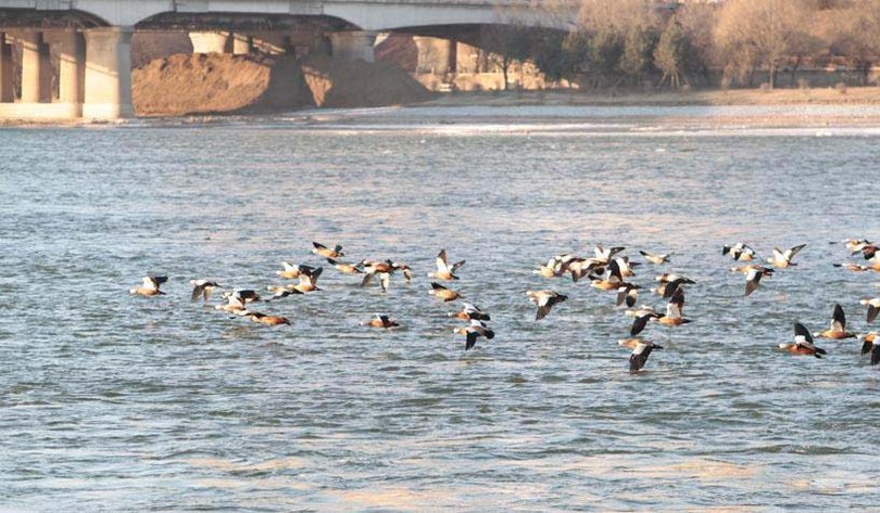 图片默认标题_fororder_songhuajiang3