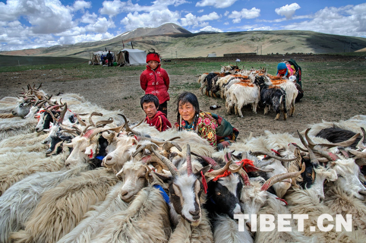 “西藏民主改革60周年”图片大展征集评选结果公布，看看有你吗？