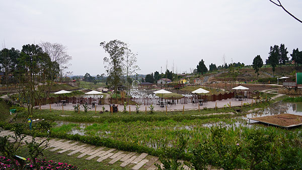 橘乐田园亮点多 四川资阳雁江区以柑橘为“IP”打造特色农旅融合项目_fororder_橘乐田园--摄影-张雅舒-(2)