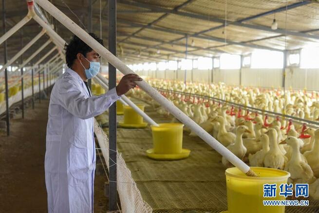 貧困脱却で人類のモデルを_fororder_A-2