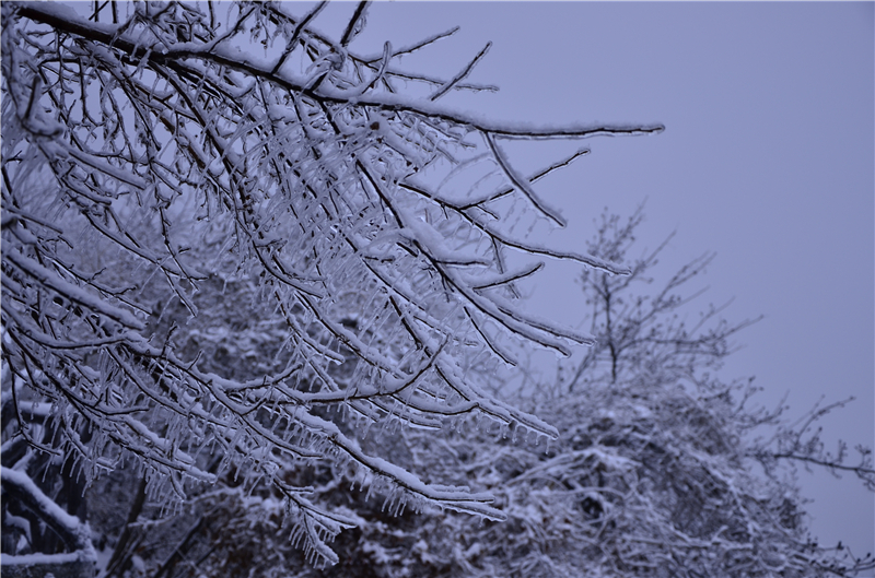 【B】雪后龟峰山 美景更娇艳（组图）_fororder_冰挂玉树琼枝 摄影余淑荷