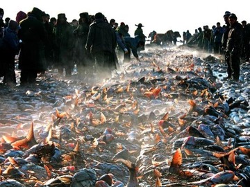 2021年1月13日放送のお便り紹介