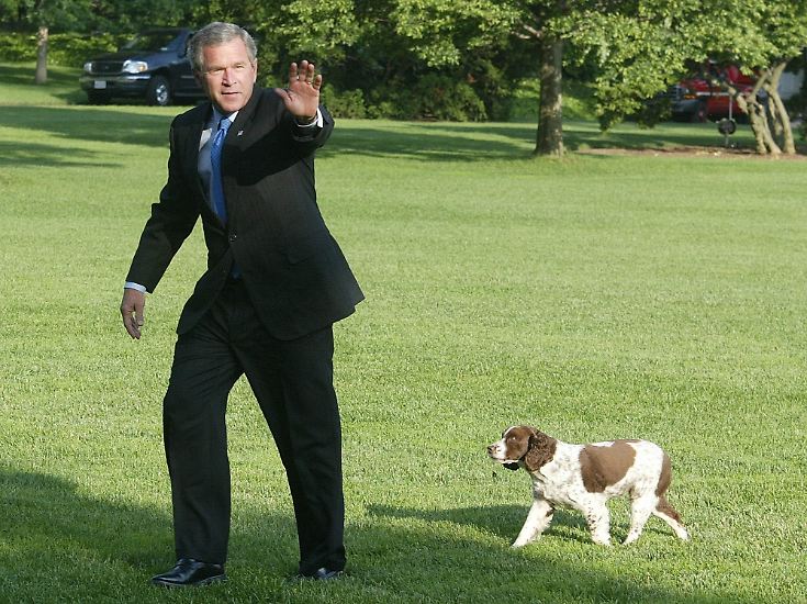 “政治明星”不是人类专利:政治家和他们的爱犬