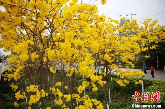 图片默认标题_fororder_200x133_2ccadd208f184c03a6680e9356558980