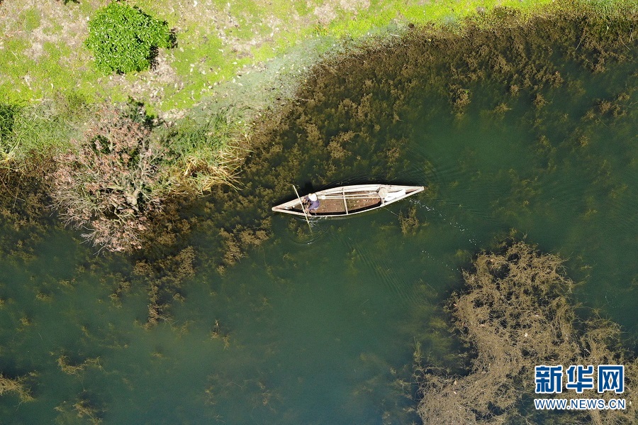 云南石屏：异龙湖湿地美如画卷