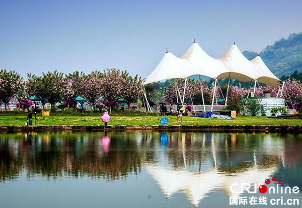 图片默认标题_fororder_美丽的花舞人间。（图据网络）