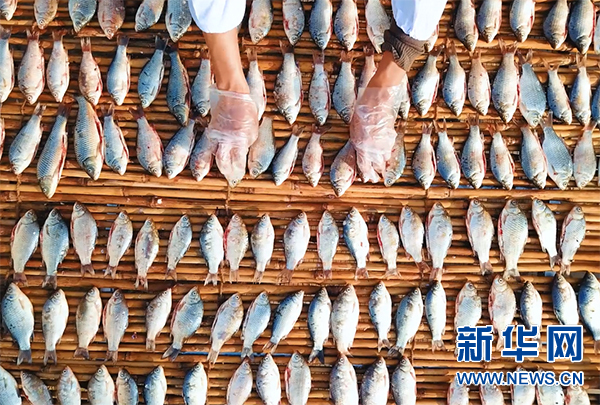 河南商丘:入骨酥香一尾鱼