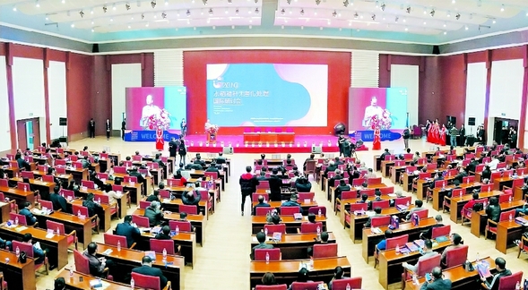 水稻秸秆无害化处理国际研讨会在佳木斯举行