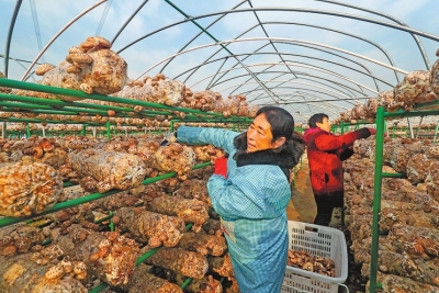 河南省多举措力促农民工好就业 就好业