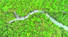 （中首）贵州茂兰保护区获批 全国自然教育基地