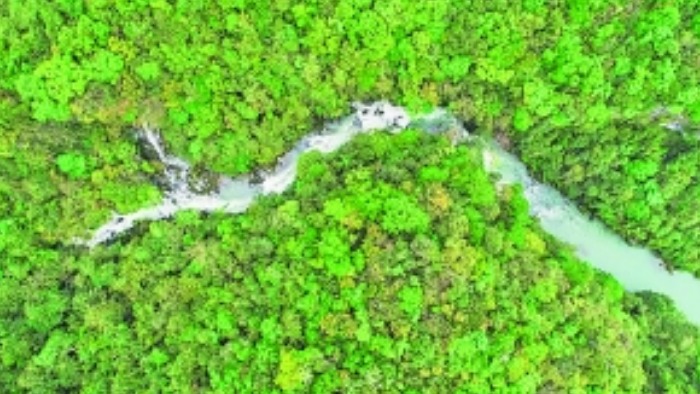 （中首）贵州茂兰保护区获批 全国自然教育基地