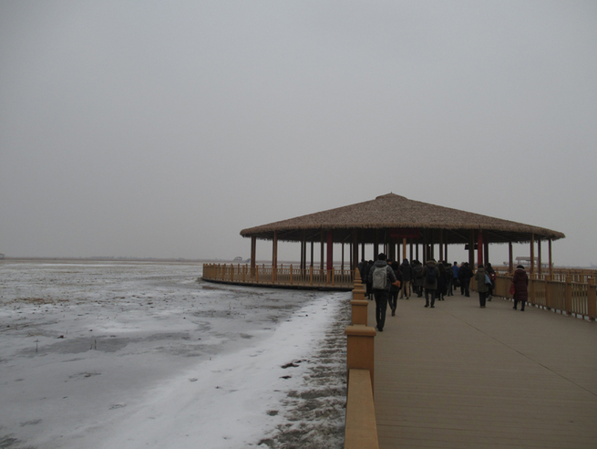 图片默认标题_fororder_06