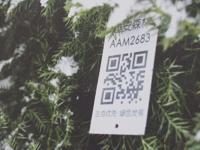 图片默认标题_fororder_09