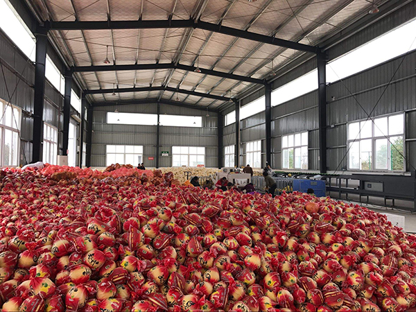 图片默认标题_fororder_5