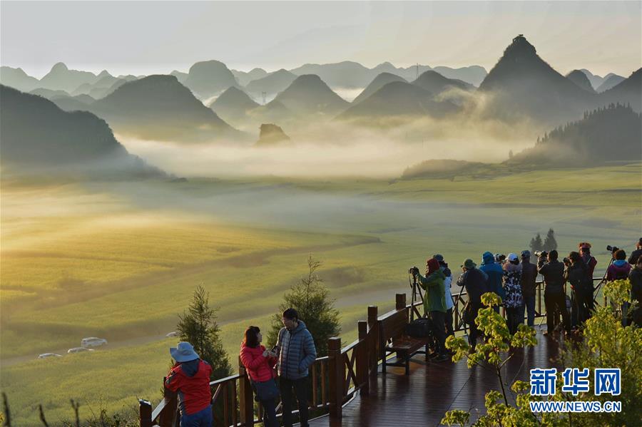 云南罗平:元宵佳节赏花时 云南罗平:元宵佳节赏花时