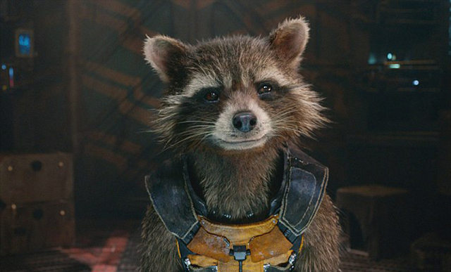 美国妈妈为儿子制作“火箭浣熊”套装 走红网络