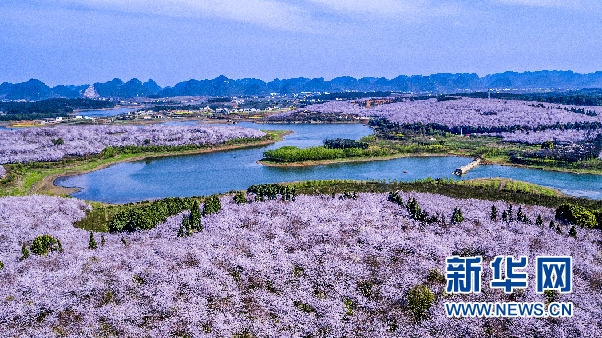 贵州硬核措施赋能新区发展开放型经济引擎升级